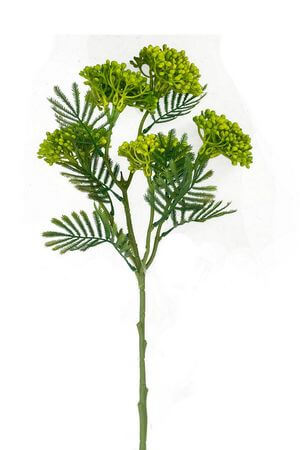 Zelený poľný zápich 53cm