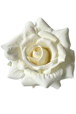 Biele hlavičky ruží 12ks 10cm