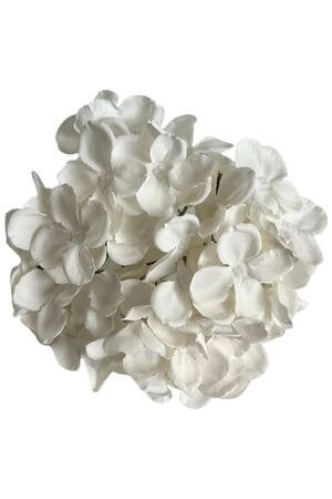 Biela hlava hortenzie 20cm