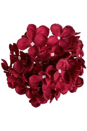 Červená hlava hortenzie 20cm