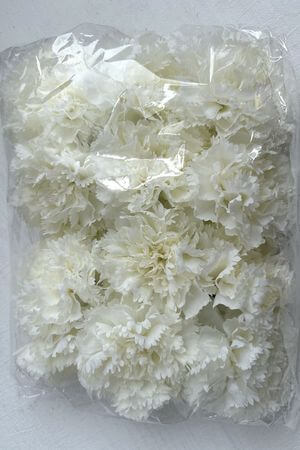 Biele hlavičky karafiátov 24ks 10cm