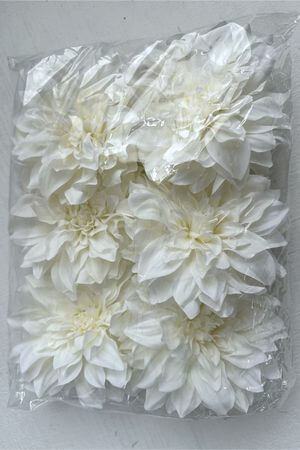 Biele hlavičky dálií 6ks 14cm