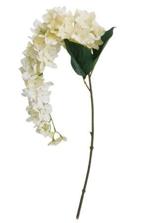 Biela hortenzia previstnutá 89cm