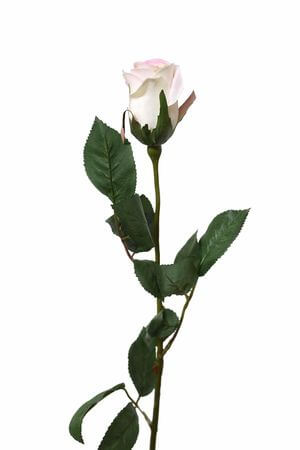 Ružová umelá ruža na stonke s listami 65cm