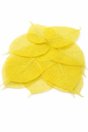 Sárga mű levelek, dekorálásra 50db