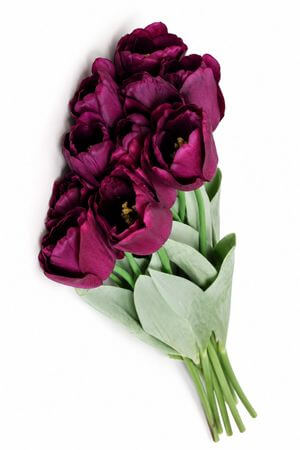 Lila mű tulipán levelekkel - 1 darab, 67cm