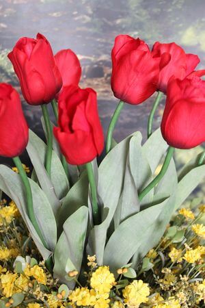 Červený umelý tulipán s listami 67cm 1ks