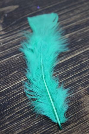 Zöld dekor tollak 60db