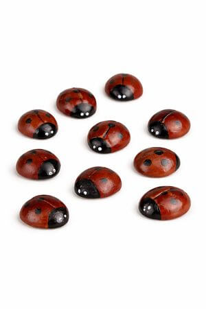 Červené dekorační berušky 9ks