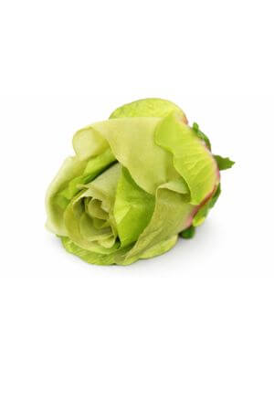 Zelené umělé květiny růží 12 ks 8 cm