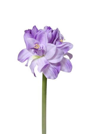 Fialový umelý amarylis 80cm