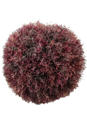 Bordó  mű buxusgömb 38cm 