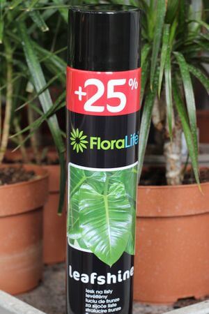 FLORALIFE Lesk na listy v spreji 750ml