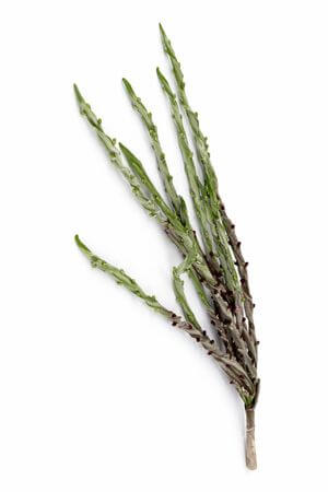 Zöld és barna mű bogyós növény 130cm