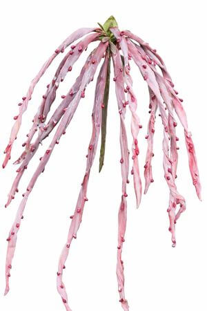 Růžová umělá rostlina s tmavými bobulemi 130cm