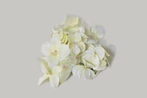 Fehér mű hortenzia fej 13cm