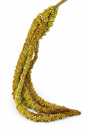 Zeleně hnědý umělé kuličkové hrozen 180cm