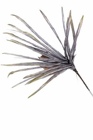 Halványlila mű anyósnyelv (sansevieria) 82cm