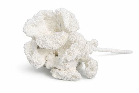 Bílý umělý korál na stonku 35cm