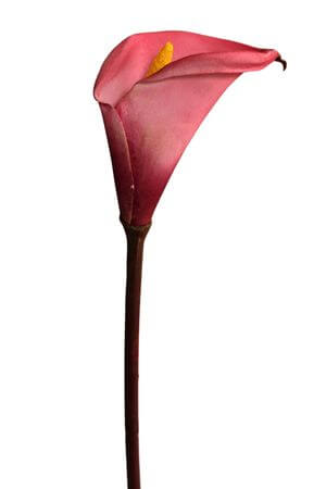 Růžová umělá kalia 43cm