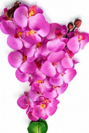Lila három szárú mű orchidea, levelekkel 90cm