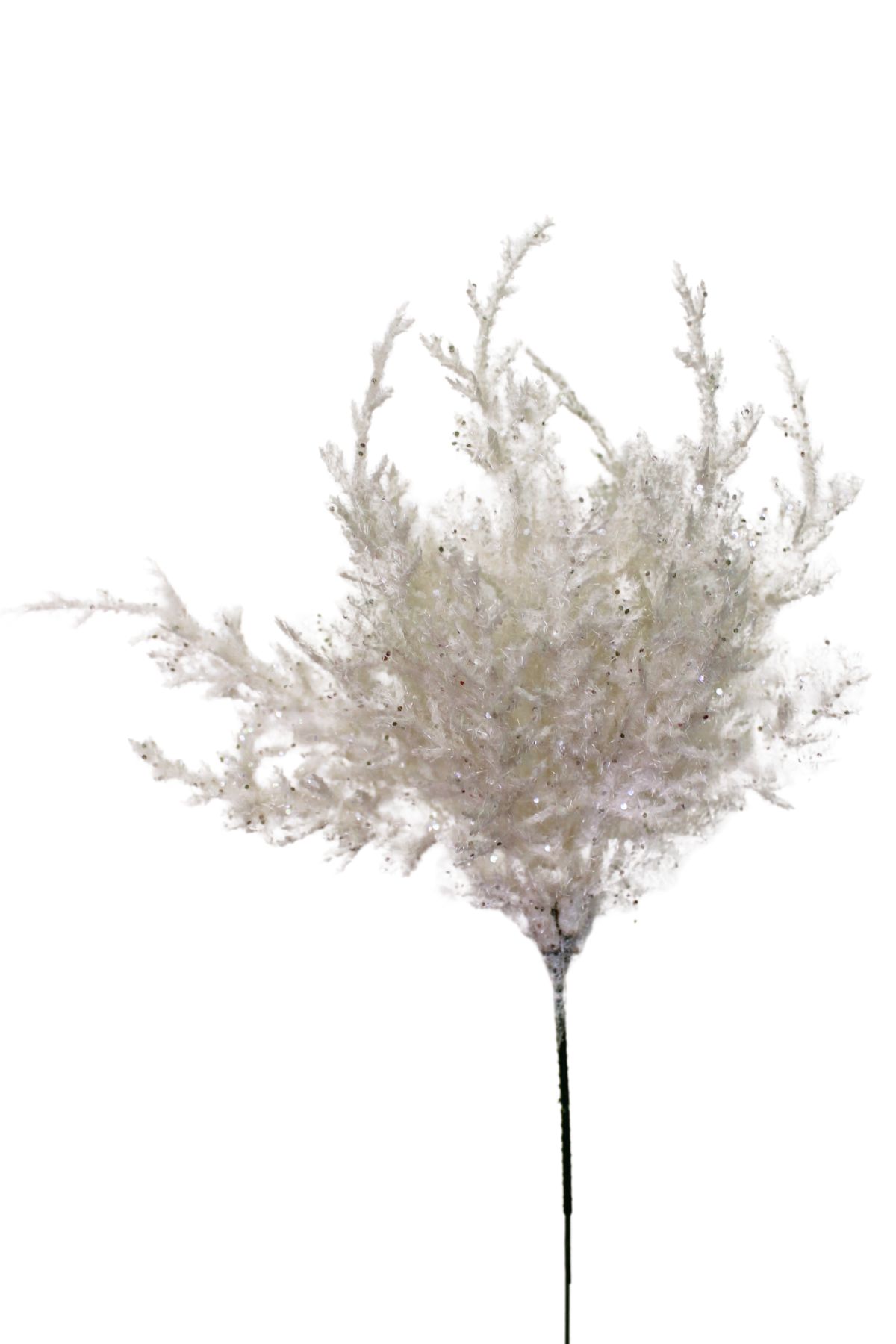 Bílá zasněžená tuja