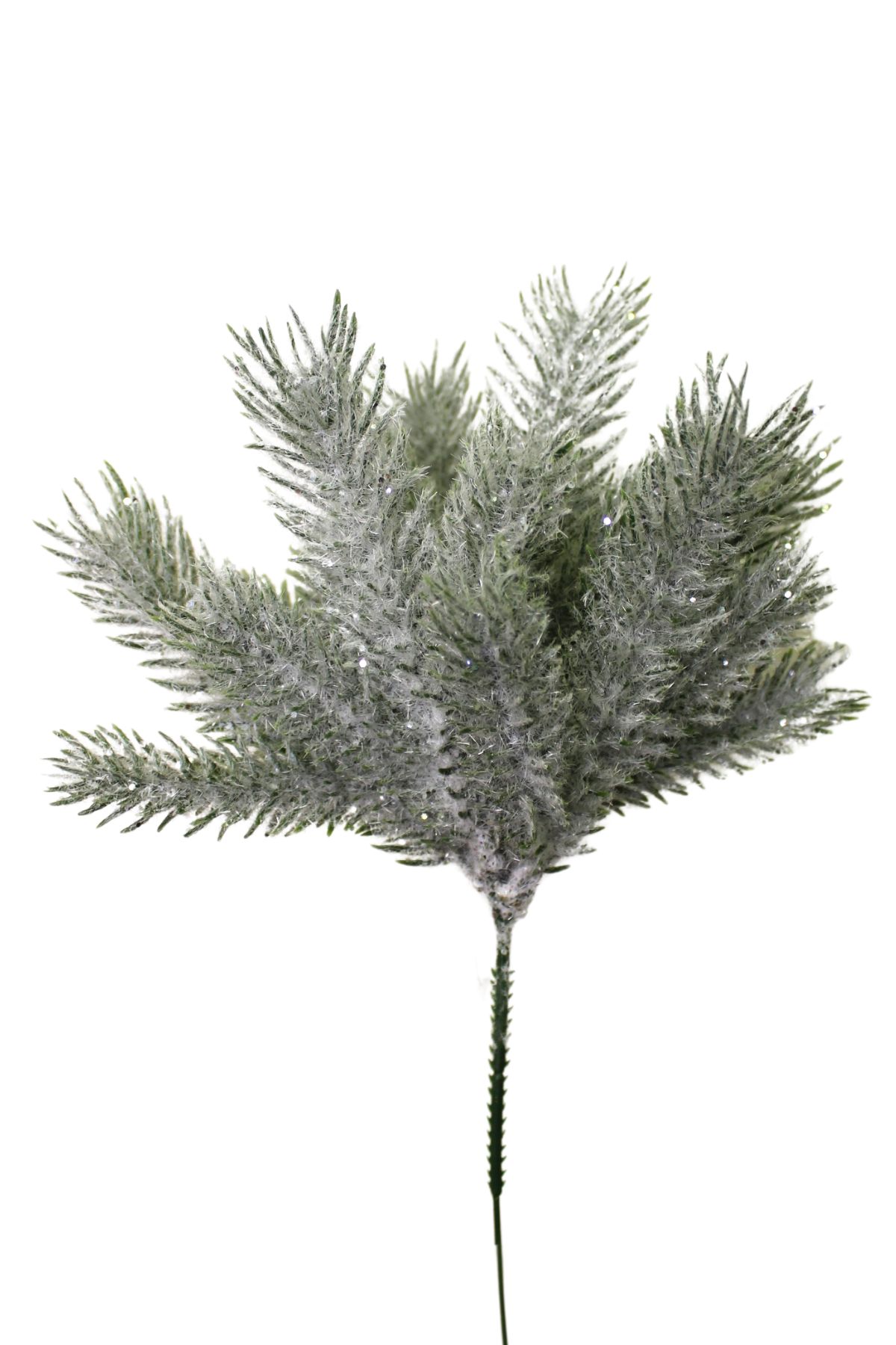 Ledově zmrzlá jehličí