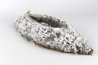 Bílá zasněžená přírodní nádoba ve tvaru lodě