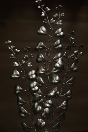 Šampáň srdiečkové lístky na stonke 70cm