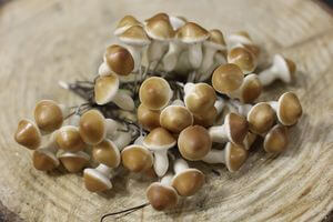 Krémes-barna dekor gombák 48db 3cm