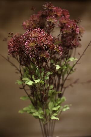 Hnědá umělá polní tráva 46cm