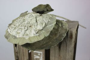 Szürdíszkészöld mű gomba 70cm