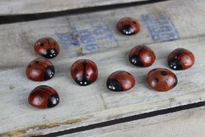 Piros dekor katicabogarak 9db