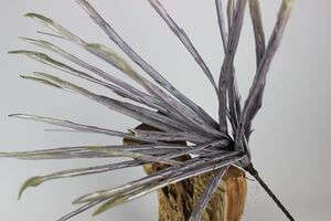 Fialová umělá sansevieria 82cm