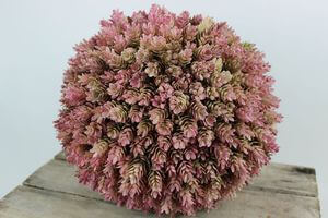 Ružová umelá buxusová guľa 31cm