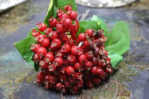 Piros csokor bogyókból