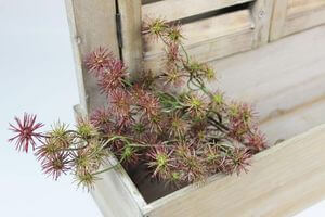 Bordovo zelená umělá kytička z bodláčků 38cm