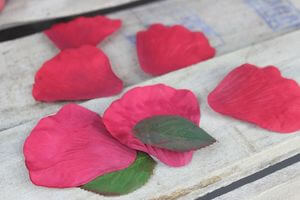 Červené lupeny růže 5ks a 2 zelené listy