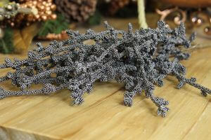 Sötétszürke korallág 