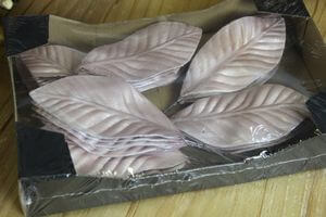 Ružové perleťové listy 30ks 13cm