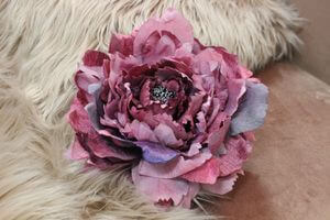 Ciklámen nagy bársony bazsarózsa 16cm